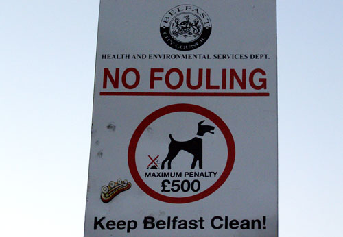 belfast4.jpg