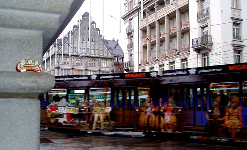 Bacillus in rainy Zürich