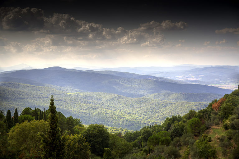 Toscany – Montalcino