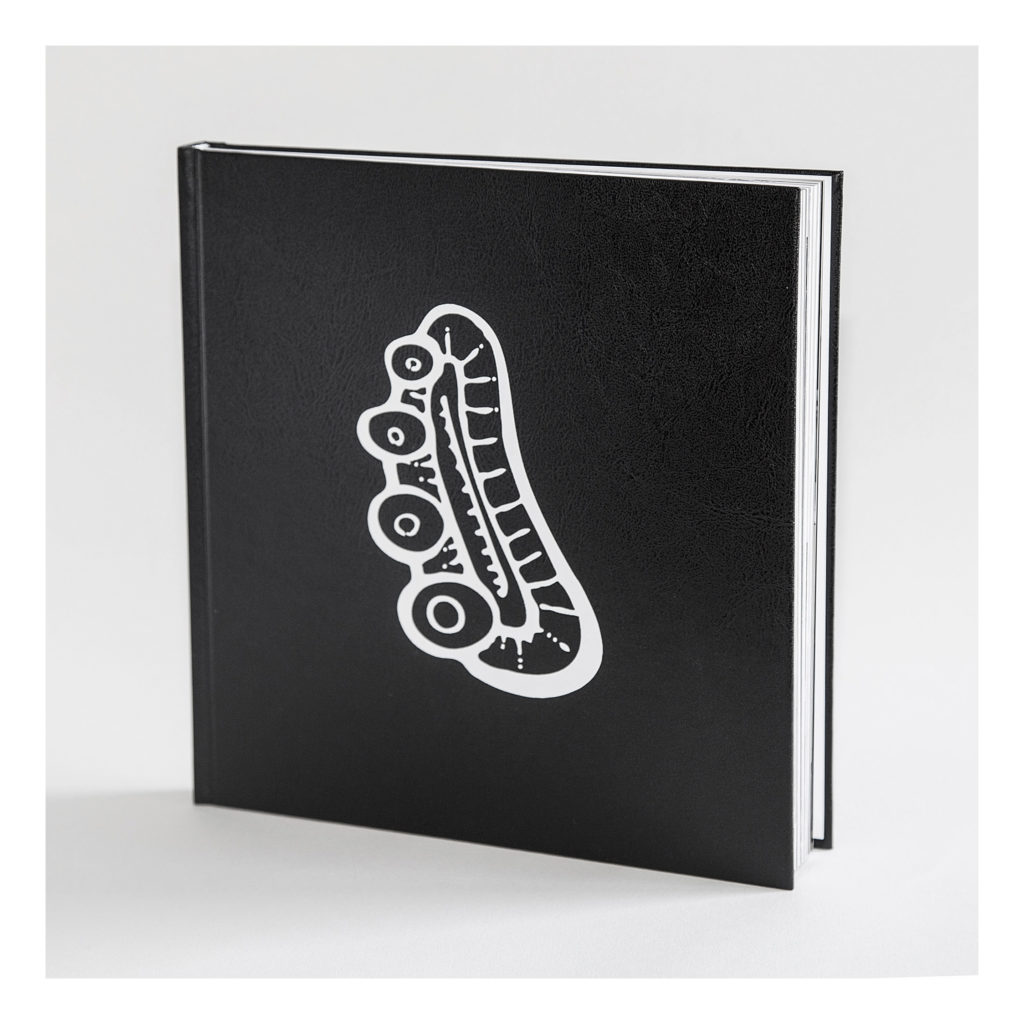 fluctibook