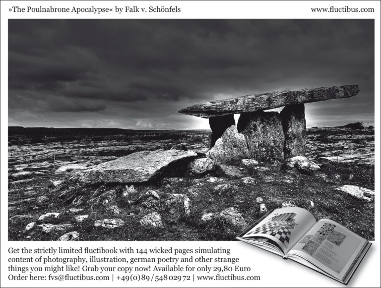 FvS_Anzeige_152x115.indd